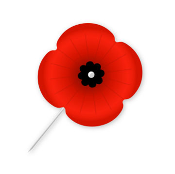 Colour image of poppy flower