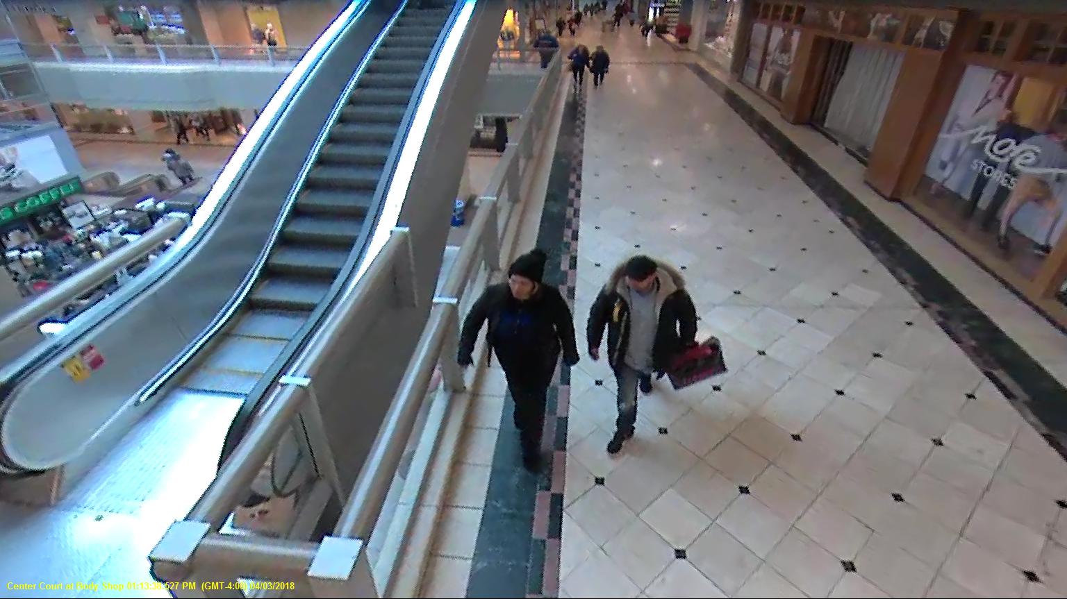 Fraud Suspect