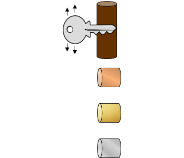 Lead Pipe (Left) & Copper Pipe (Right)