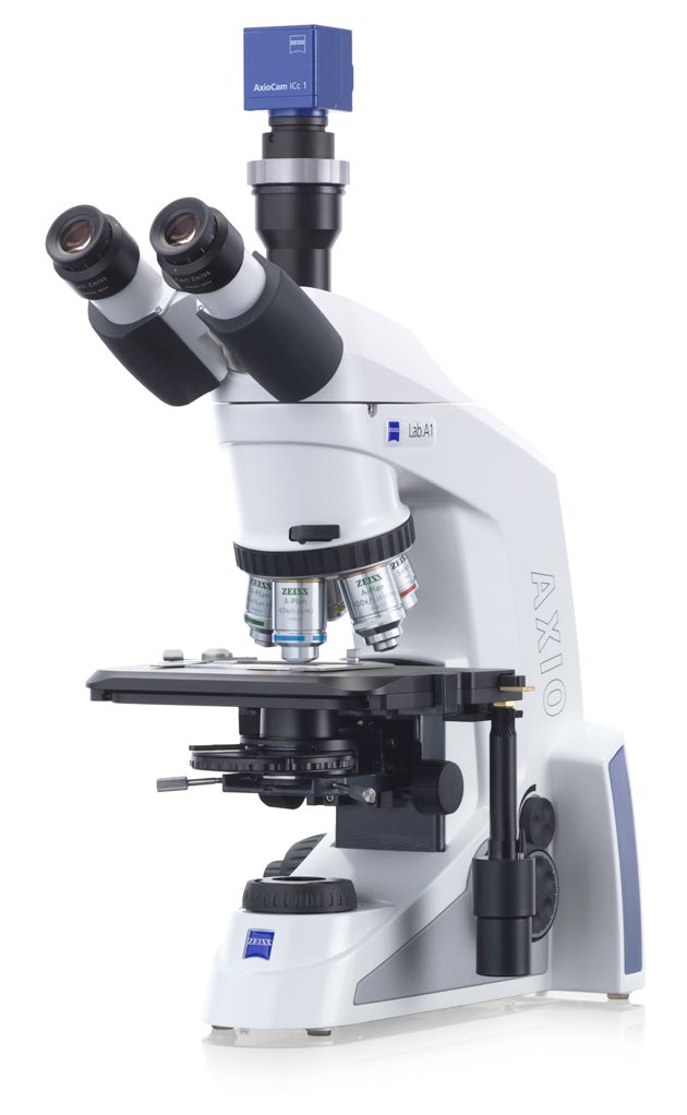 microscope