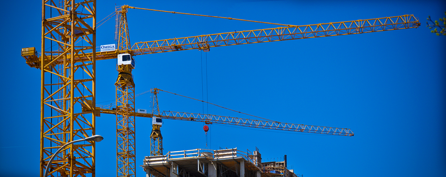 a photo of cranes