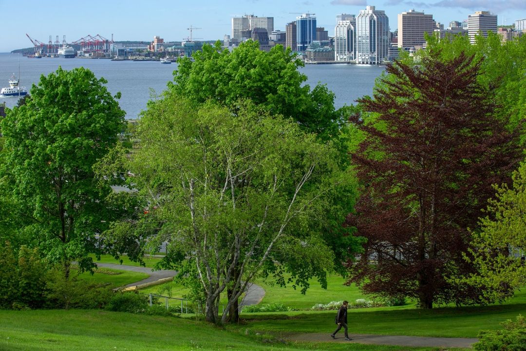 Photo of the Dartmouth Commons