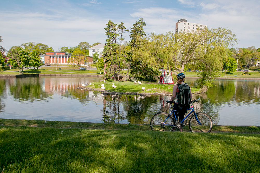 Someone biking at Lake Banook