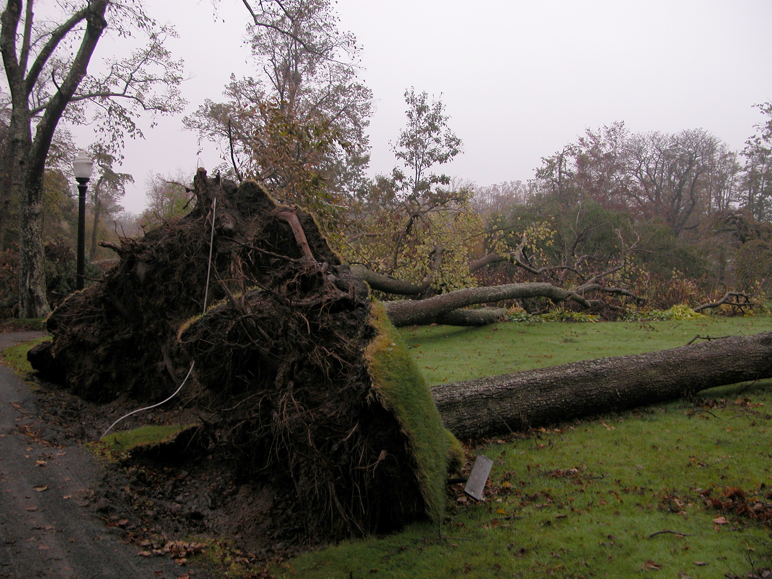 Hurricane Juan