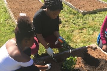 youth gardening