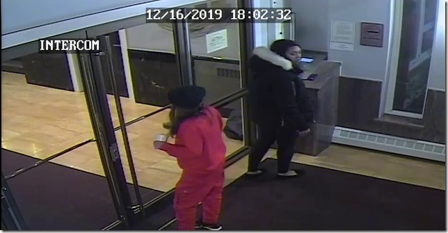 theft suspects