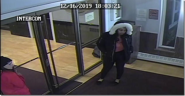theft suspect