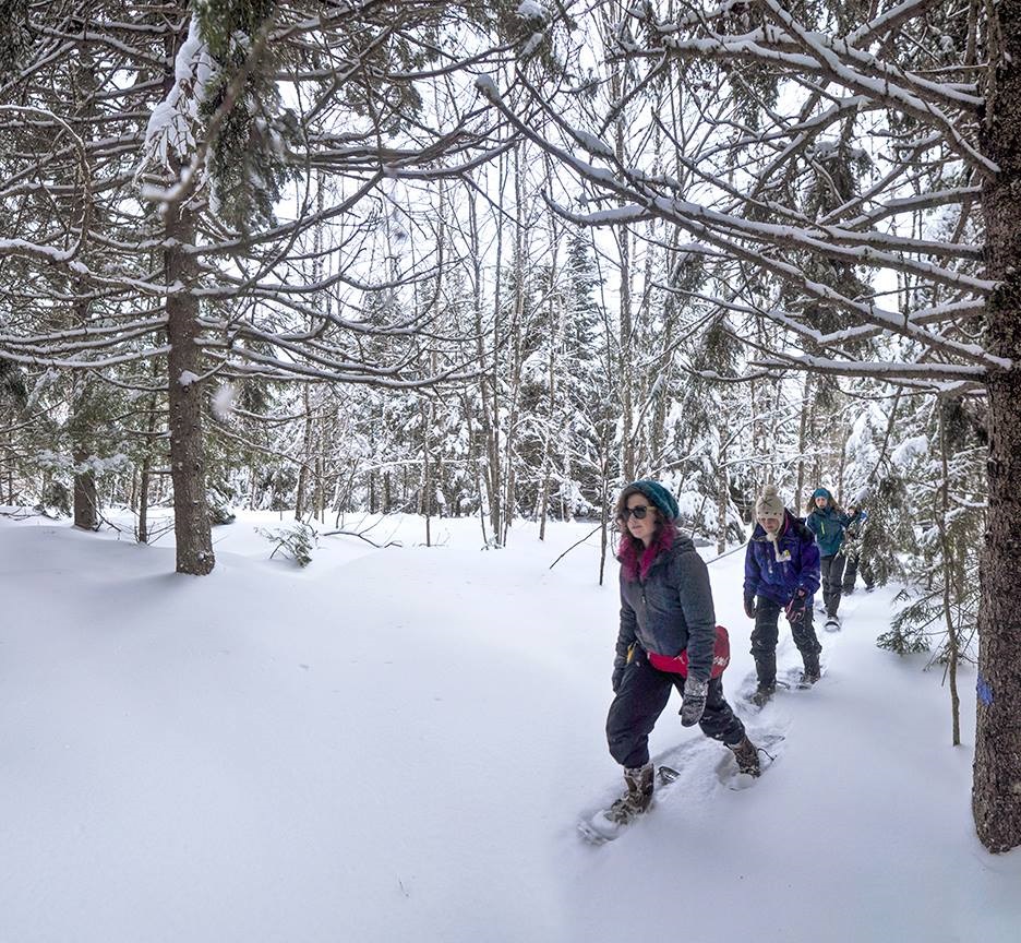 Family Snowshoe / Hike