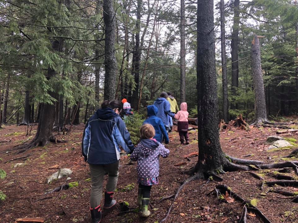 nature preschool program