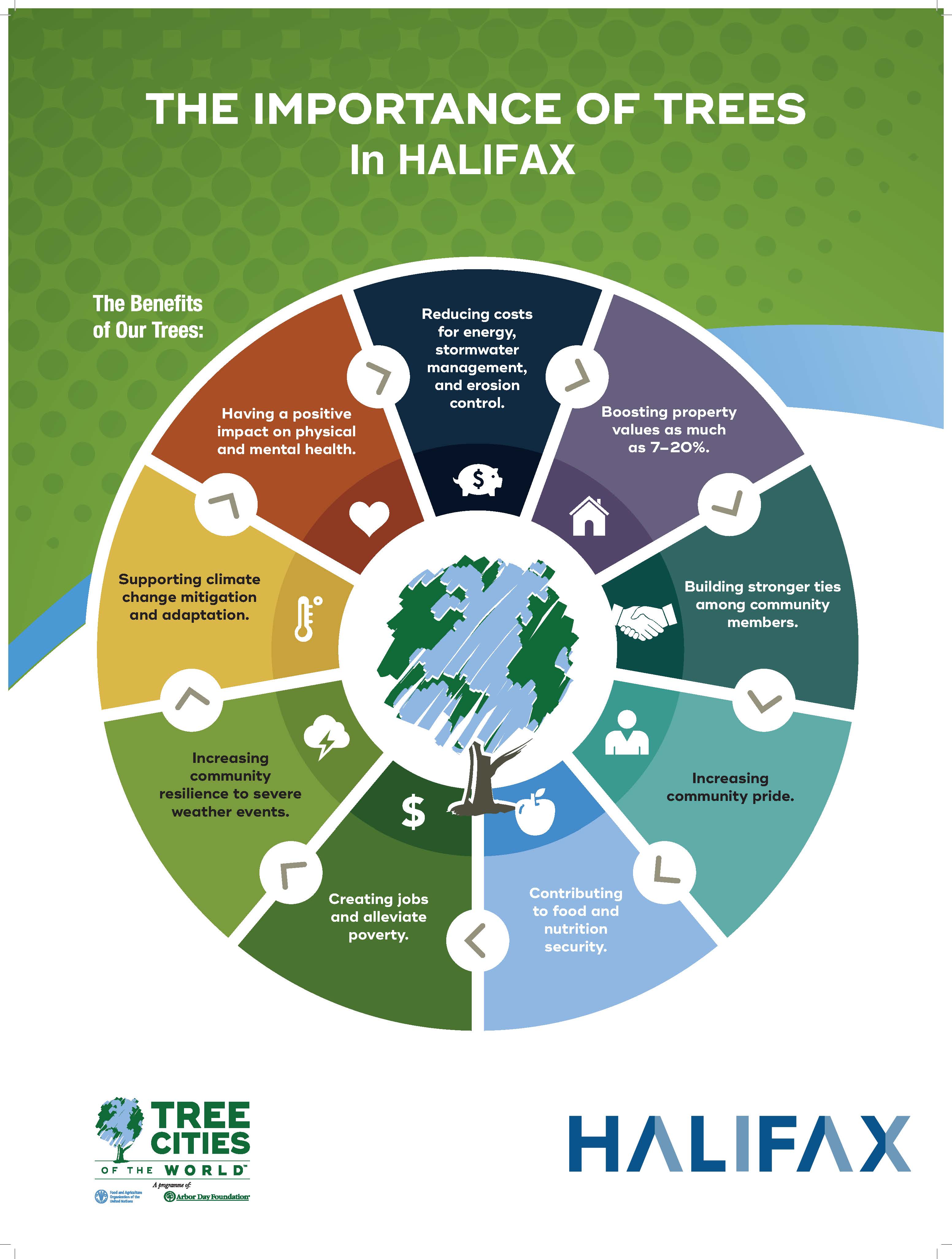 Halifax - a Tree City