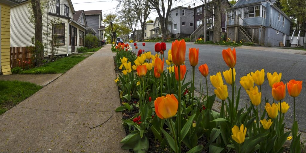 Photo of boulevard garden example