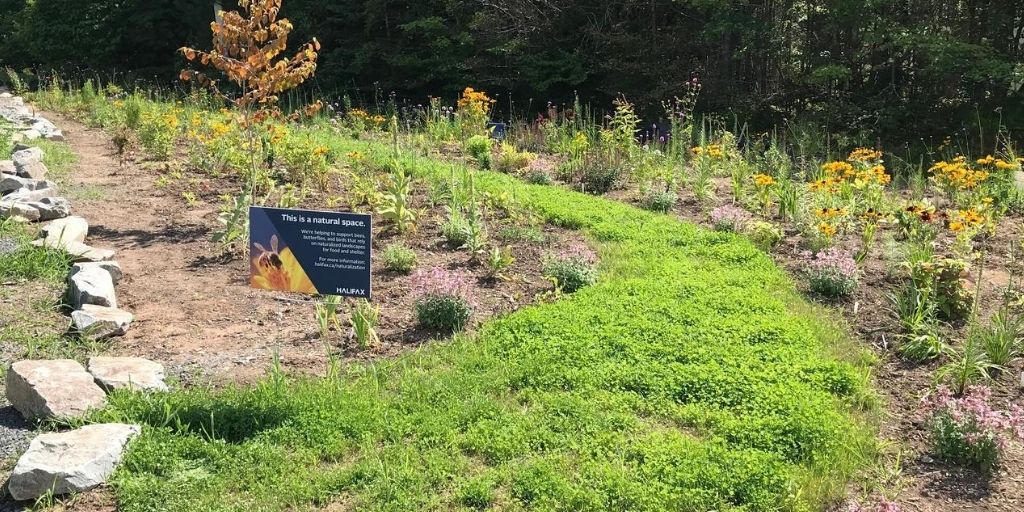 Sime Court naturalization site