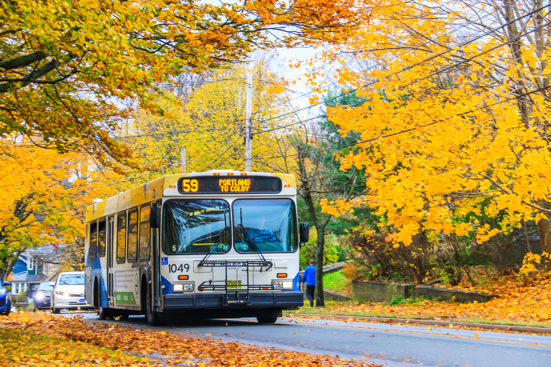 A Halifax Transit bus on Portland Street in Dartmouth, in the fall.