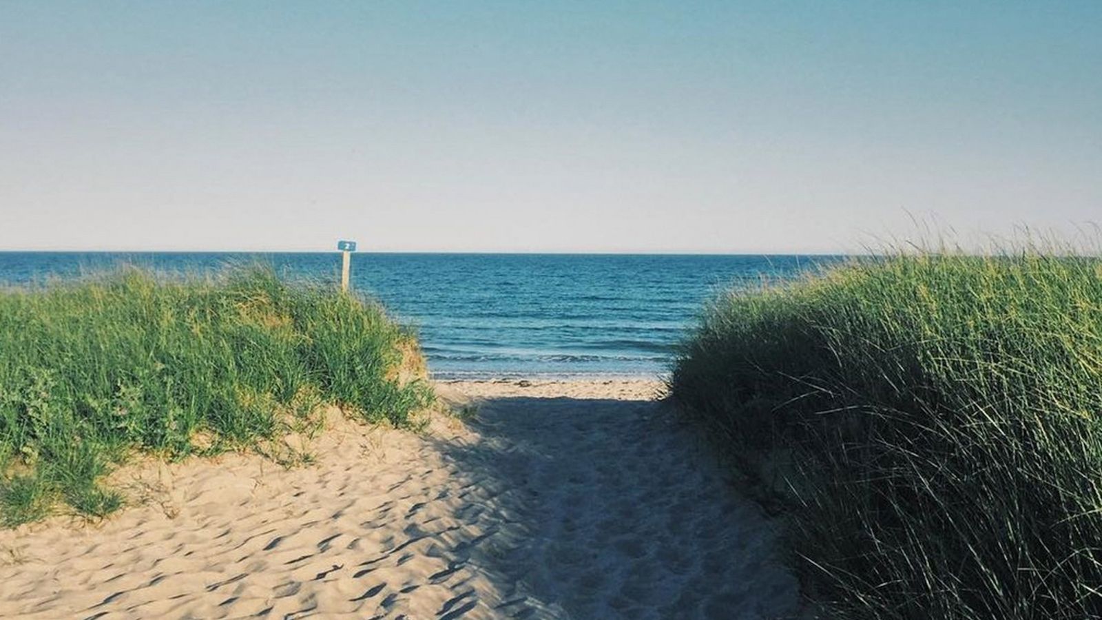 An image of an oceanview horizon from a sandy beach.
