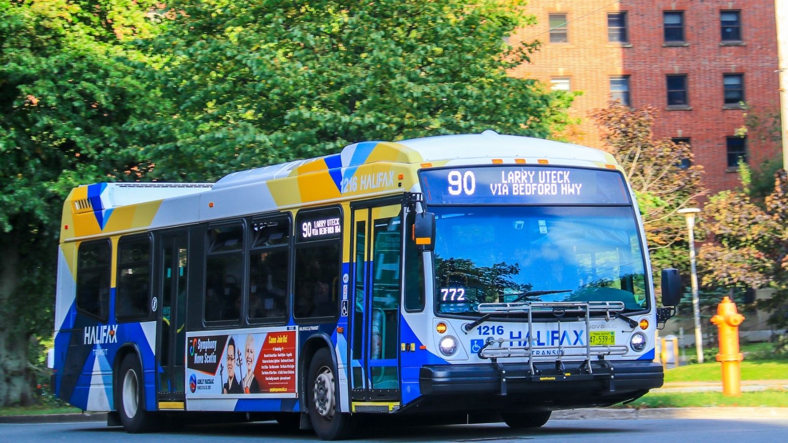 An image of a bus on a summer day.