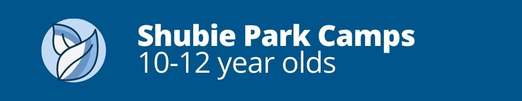 Shubie Park Camps | Ages 10-12