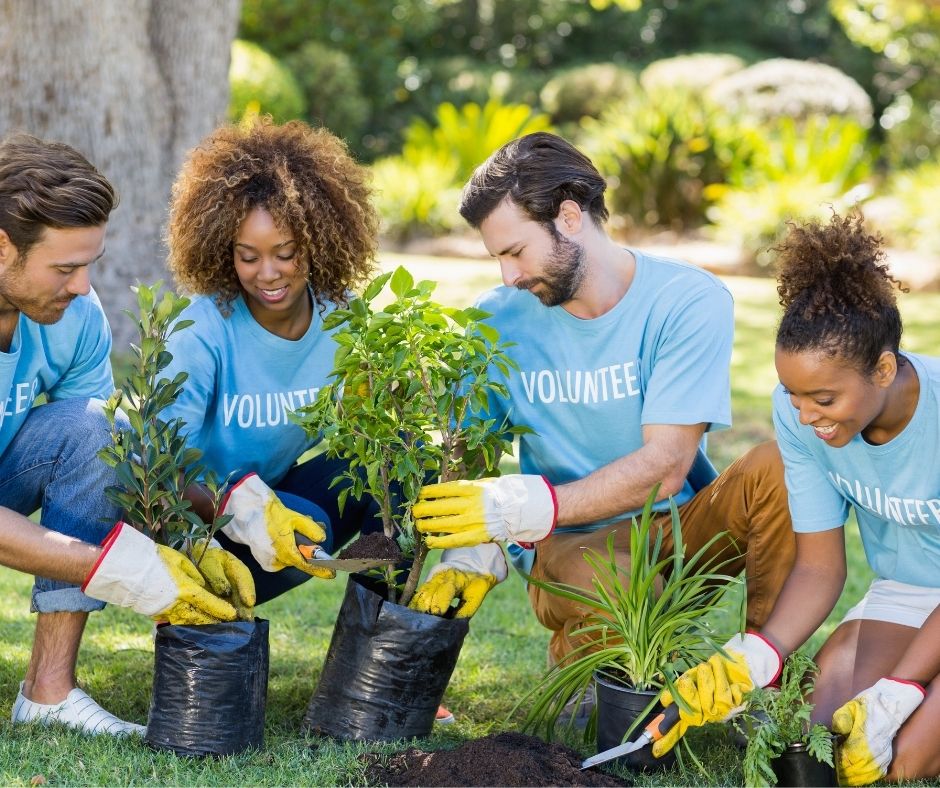 A group of volunteers working outside in a garden