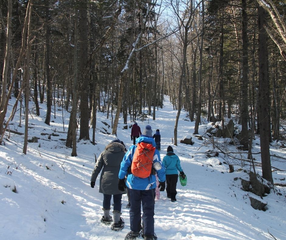 people walking on a winter trail
