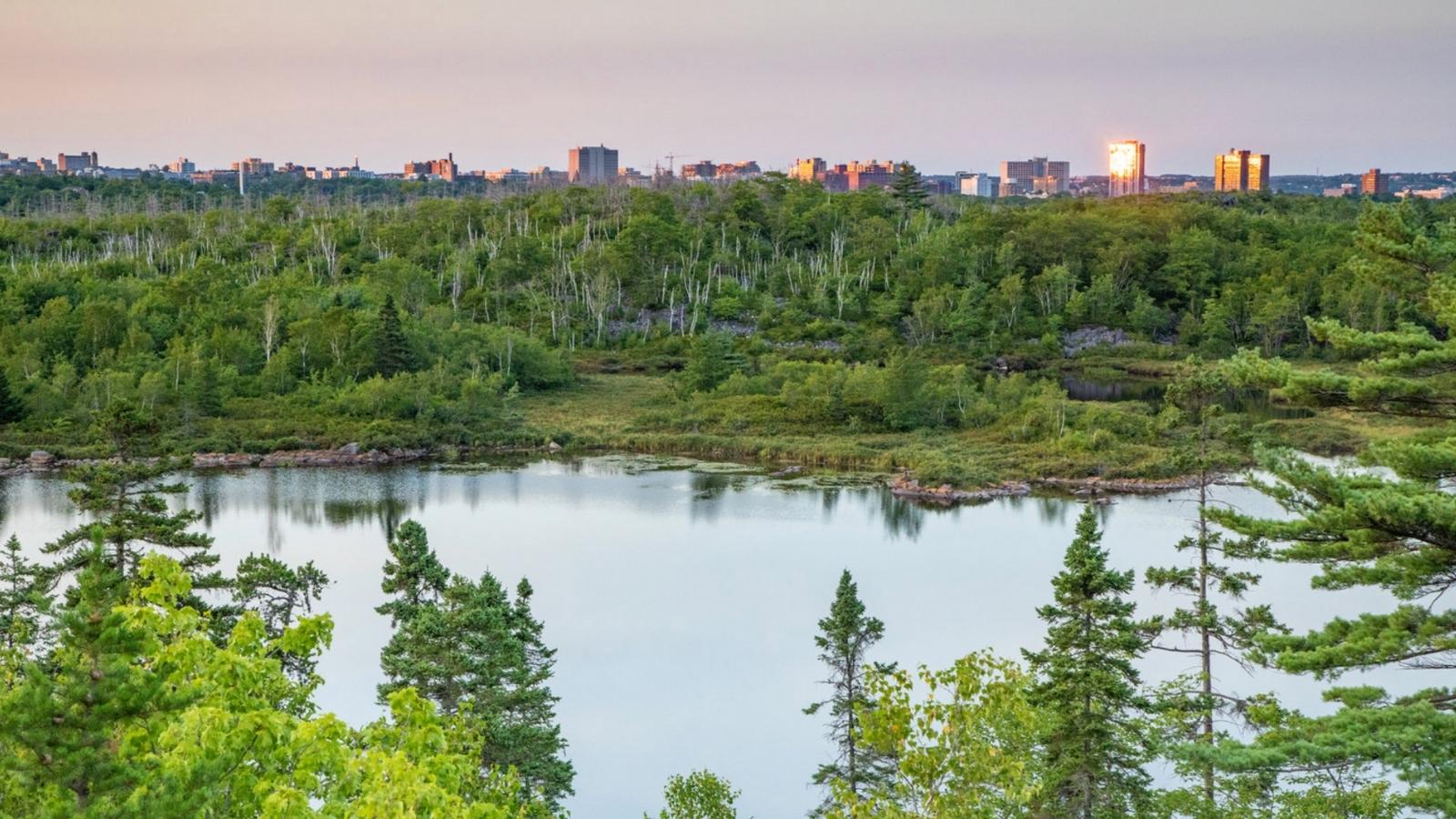 A photo of the Capital Budget Cover picture.