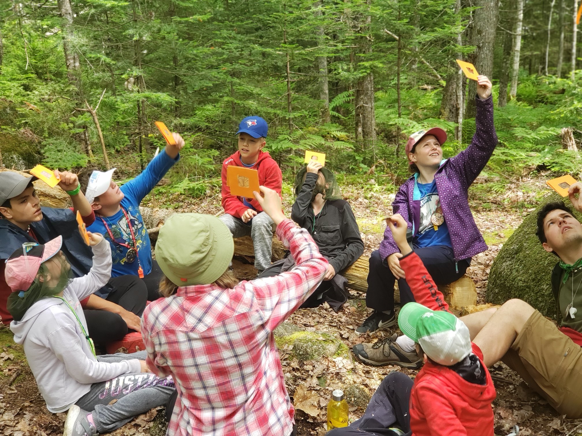 children out in the woods at a nature program