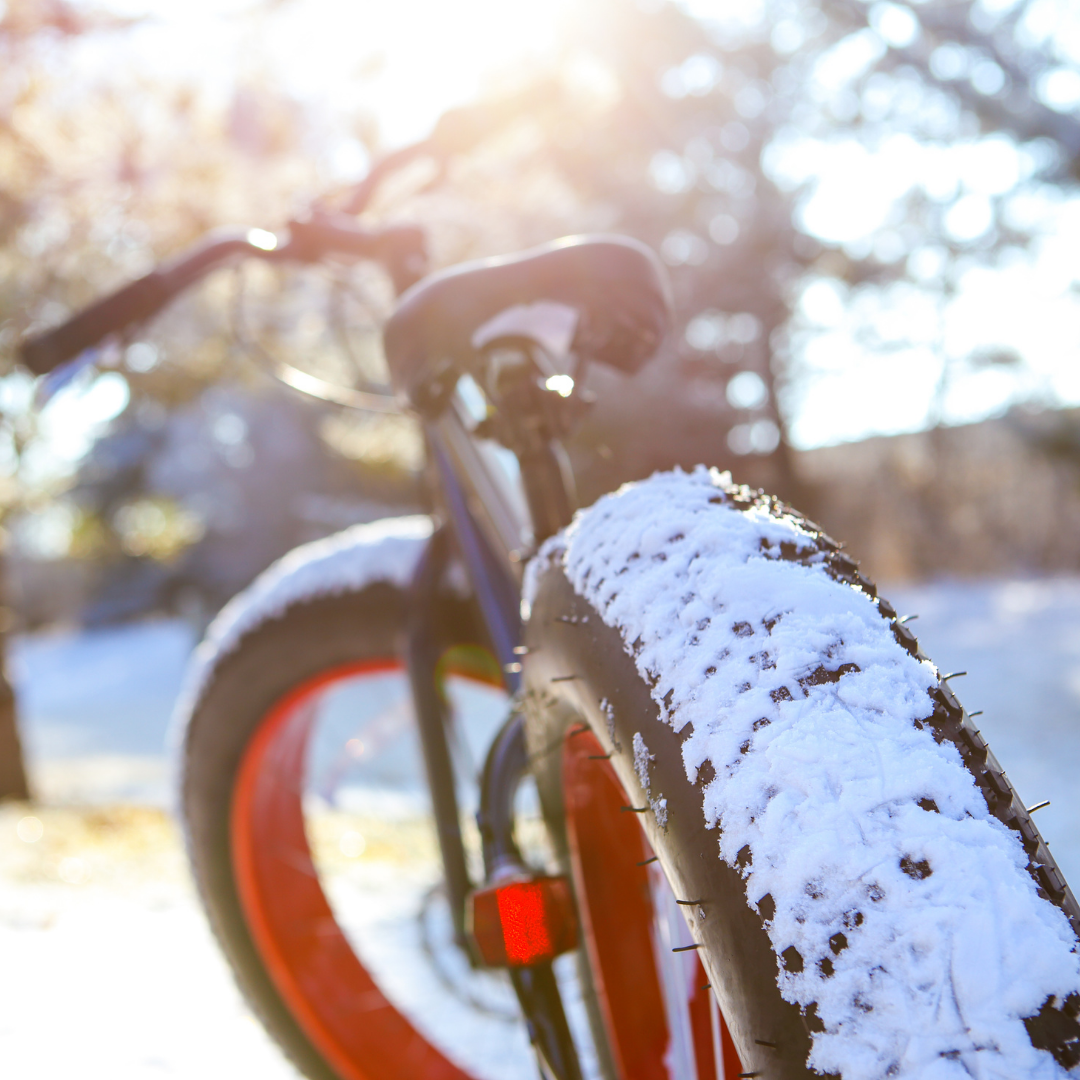 A fat bike in the snow