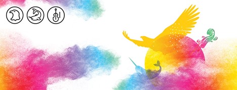 Among the various visual elements illustrating Indigenous cultures, the sun (the summer solstice) is at the center which is at the heart of the festivities. The First Nations, Inuit and Métis as well as the four elements of nature (earth, water, fire and air) are represented. The whole visual is supported by a multicolored smoke reminding us of Indigenous spirituality but also the colors of the rainbow - symbol of inclusion and diversity.