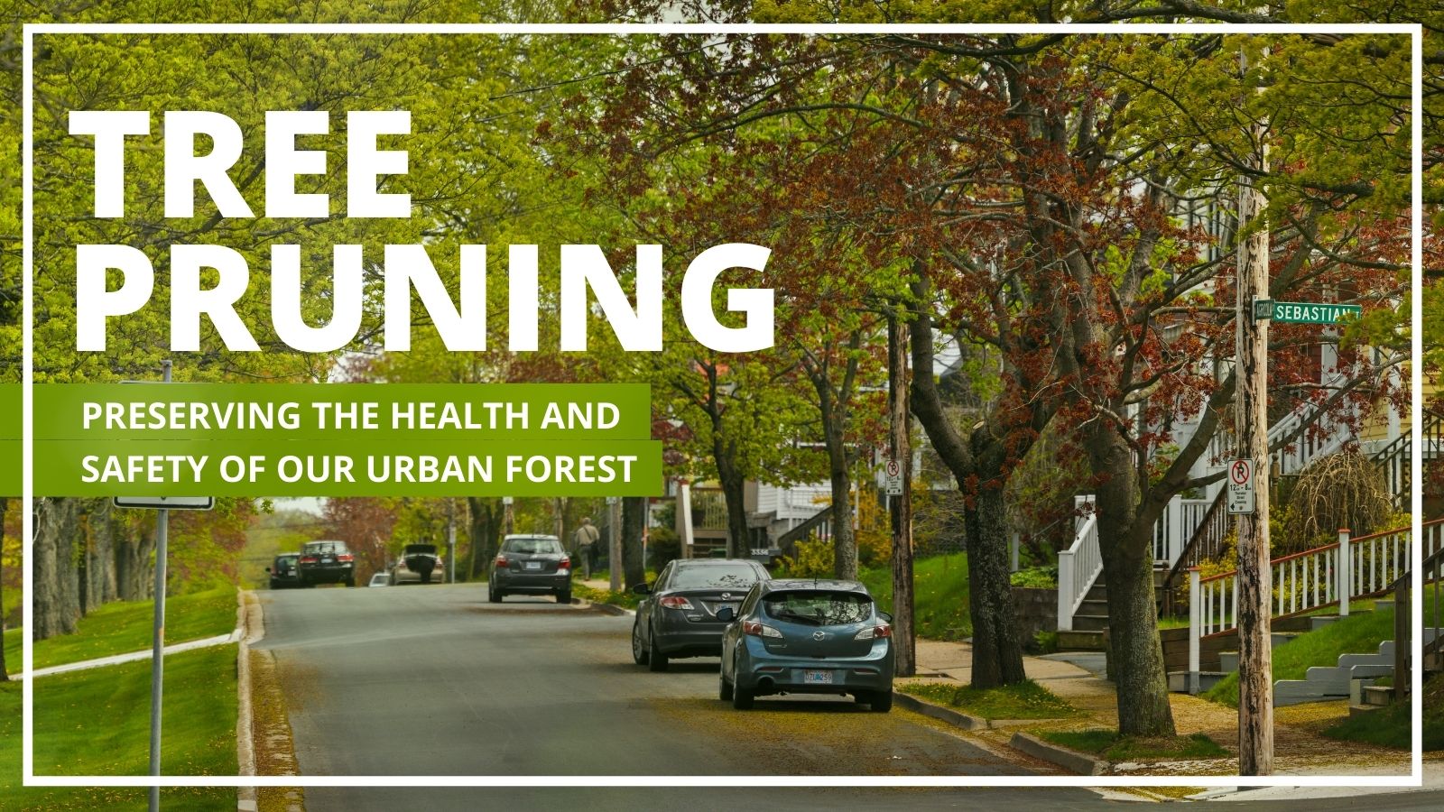 The words "tree pruning, preserving the health and safety of our urban forest" over an image of a tree-lined street