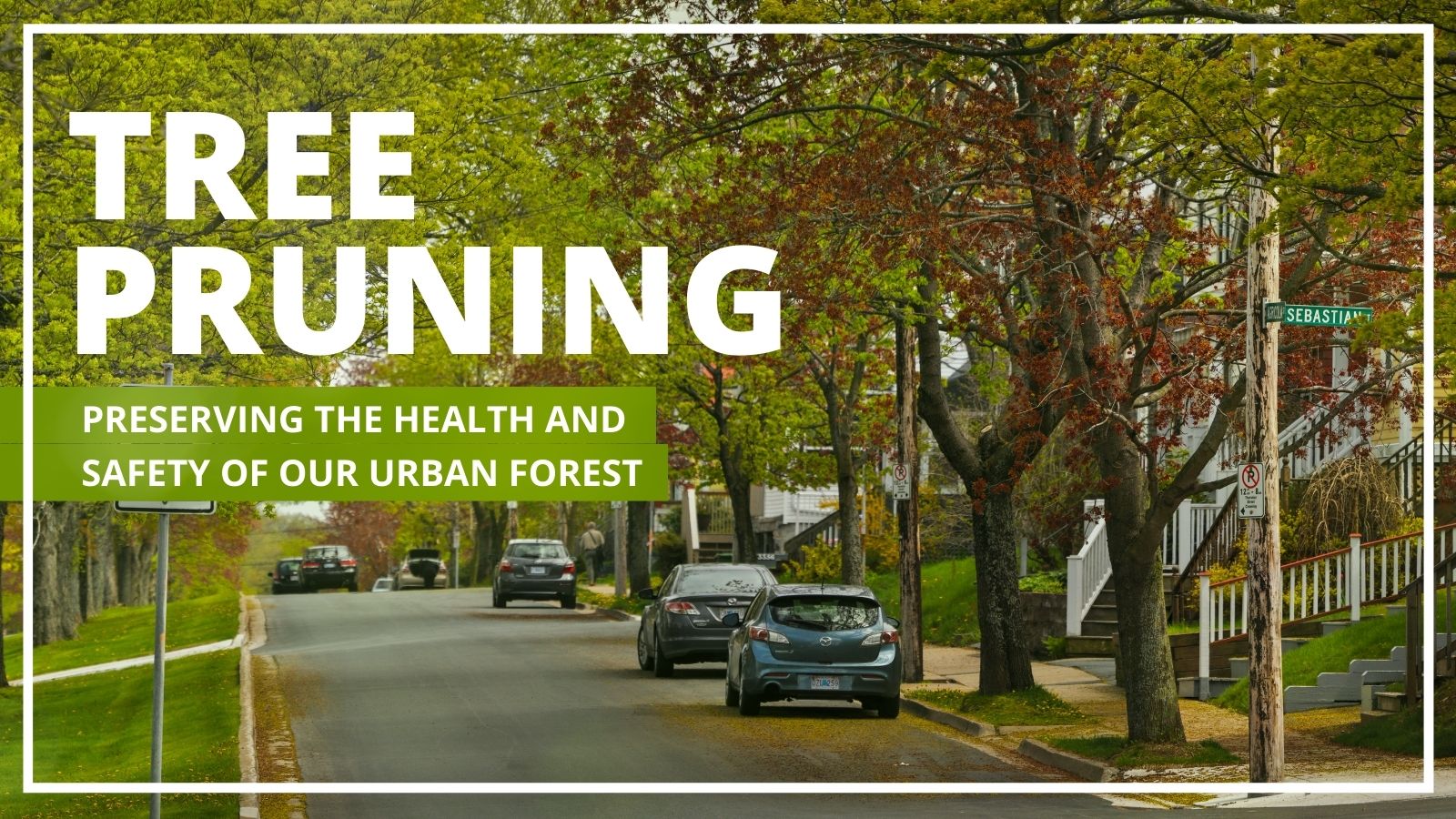 The words "tree pruning, preserving the health and safety of our urban forest" over an image of a tree-lined street