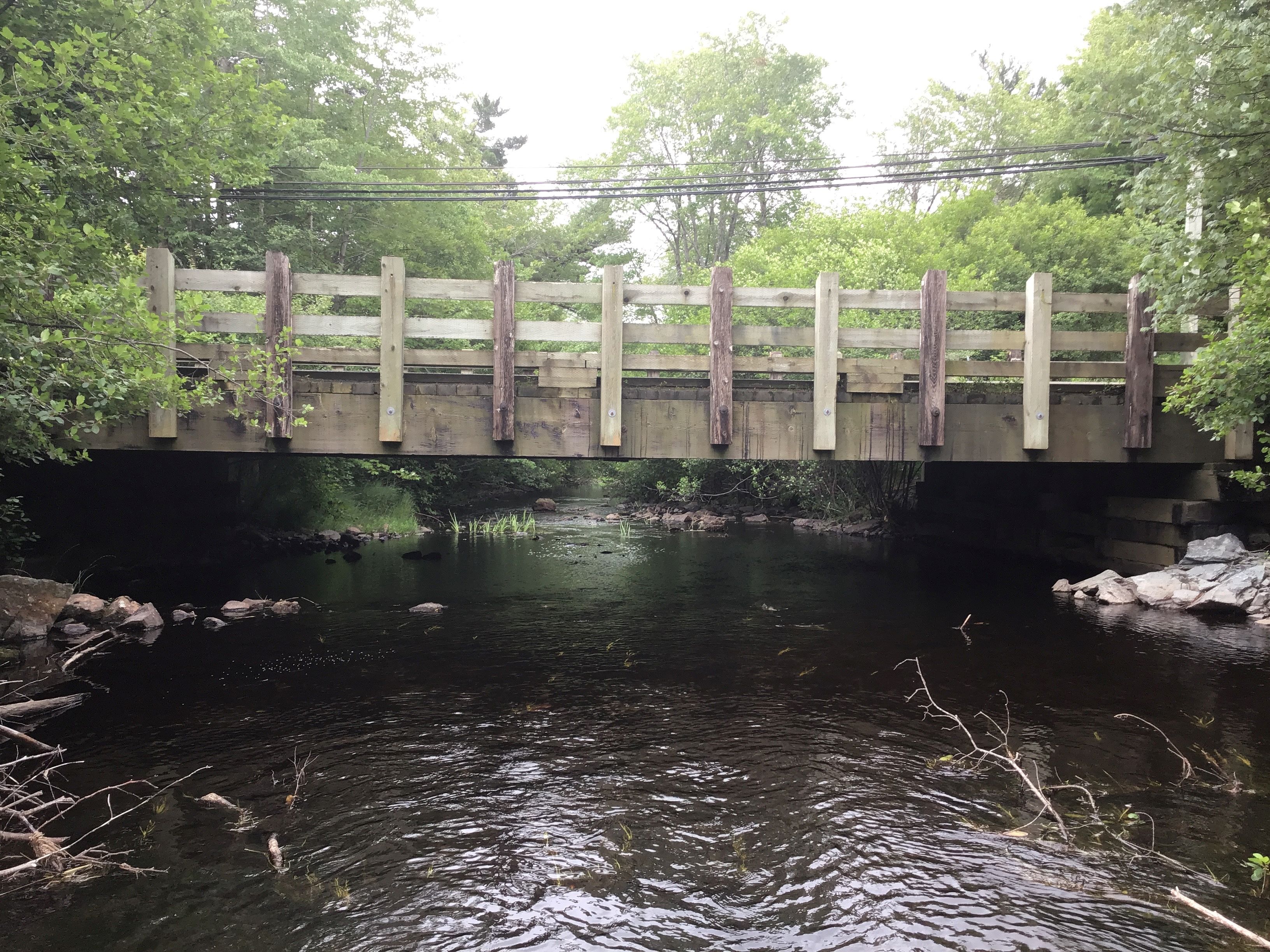 Profile photo showing Walker's Bridge on Salmon River Drive from the perspective of the river.