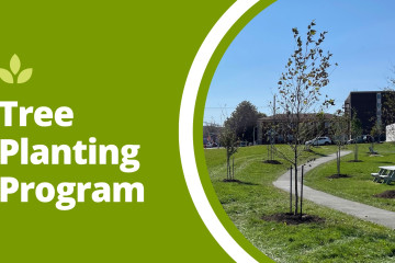 the words "tree planting program" next to an image of greenspace and a path with trees planted along it