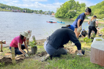 A group of volunteers participating in a community naturalization project on the shore of Lake Banook.