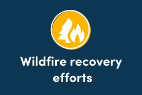 a dark blue graphic with an icon of a burning fire above the text wildfire recovery efforts in white