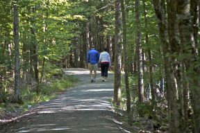 Couple walking along trail with lots of trees beside the crusher dust path
