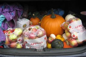 Car trunk full of local food