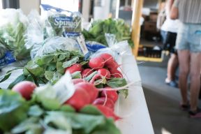 Mobile food market radishes