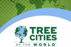 Tree Cities of the World Halifax