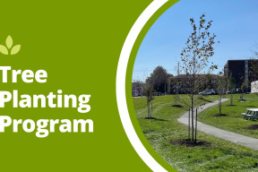 the words "tree planting program" next to an image of greenspace and a path with trees planted along it