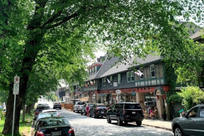 Trees lining a street of shops in the Hydrostone