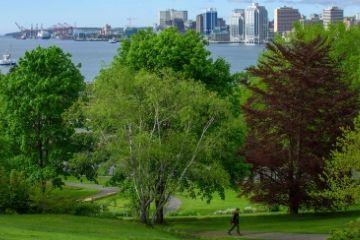 photo of Dartmouth Common