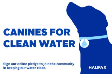 Picture of dog with a collar on with the words Canines for Clean Water