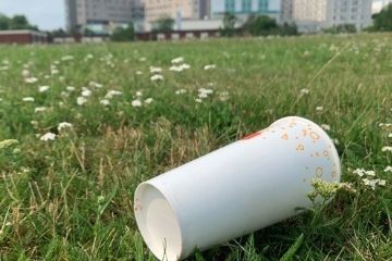 a discarded plastic cup lying on the grass in a public park